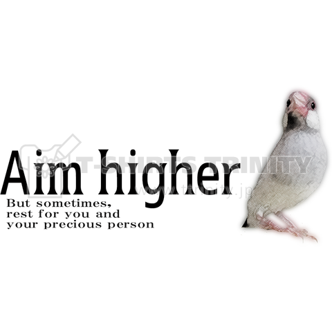 文鳥さんのAim