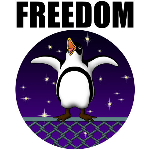 脱走ペンギンFREEDOM