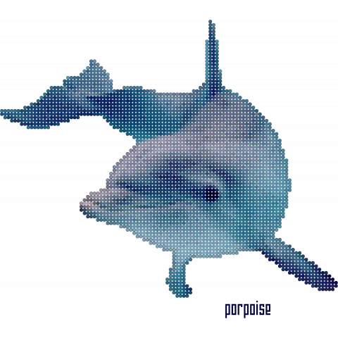 porpoise