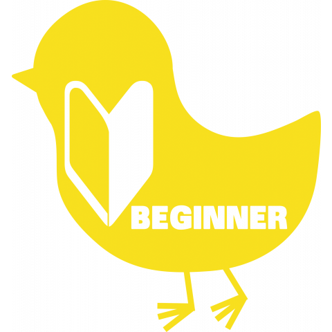 BEGINNER