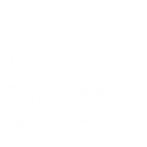 Scaly-foot gastropod