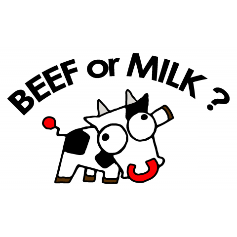 BEEF or MILK ?