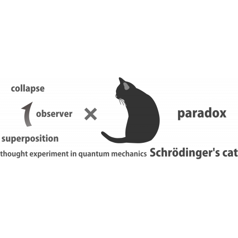 Schrödinger's cat ver2.0