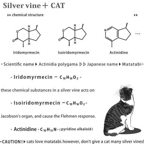 matatabi+cat ver1.0