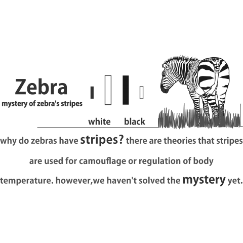 zebra ver2.1