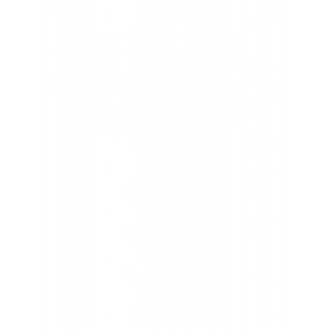 武田信玄 風林火山B（Tシャツ）|デザインTシャツ通販【Tシャツトリニティ】