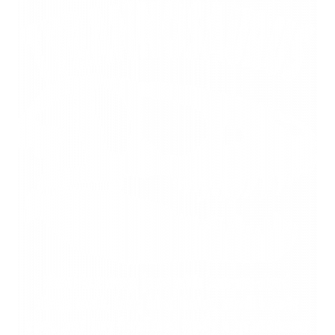 ティラノサウルスB