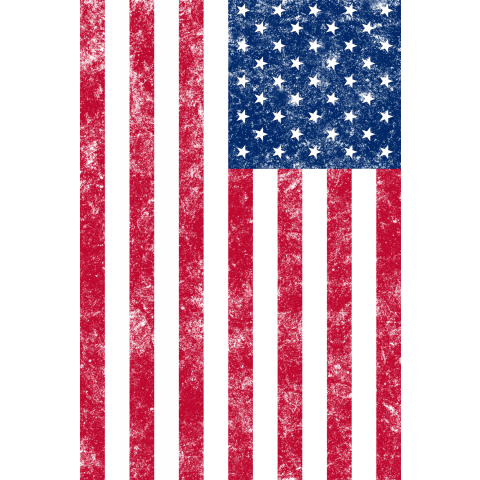 US Flag(ダメージ)