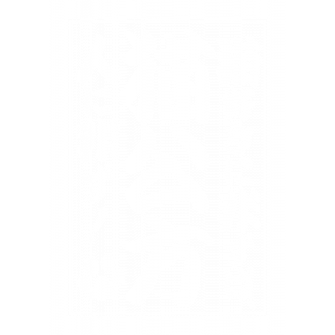 猫公方(白文字)