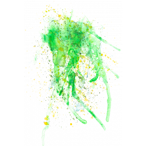 Yellow-Green Pigment