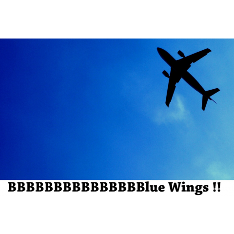 Blue Wings