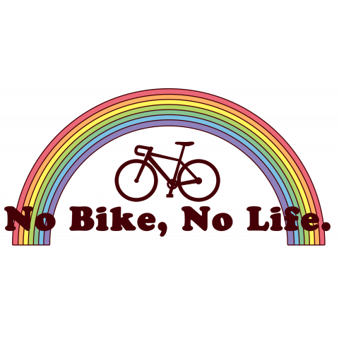 rainbow bike 2