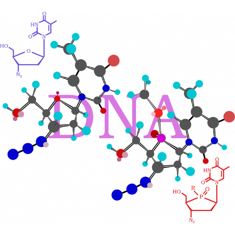 DNA