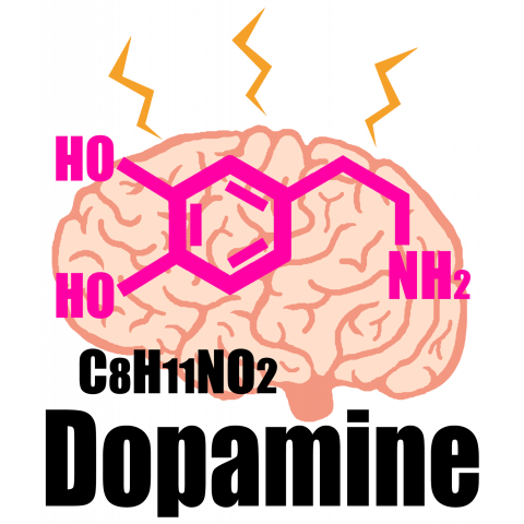 ドーパミン