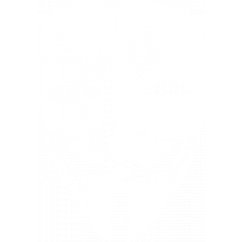 ANONYMOUS ガイ・フォークス