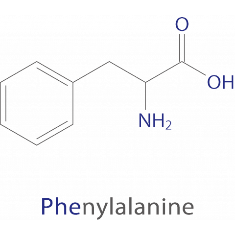 essential amino acids Phe