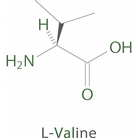 essential amino acids Val