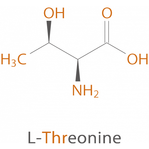 essential amino acids Thr