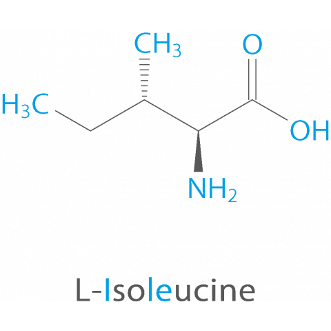 essential amino acids Ile