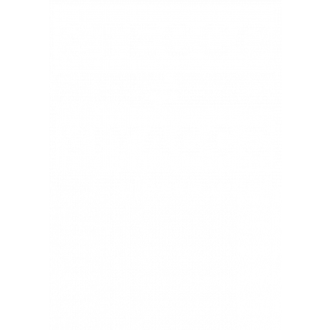 STECCO ≠ VIYACCO(A)