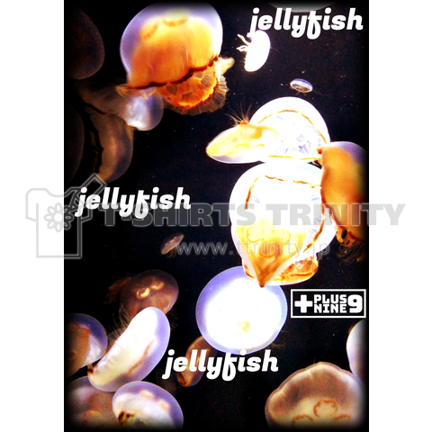 jellyfish2