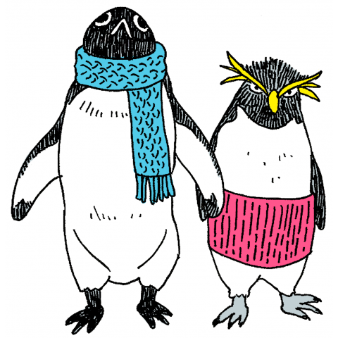 penguin "color"