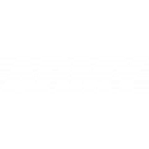 ARMY 01
