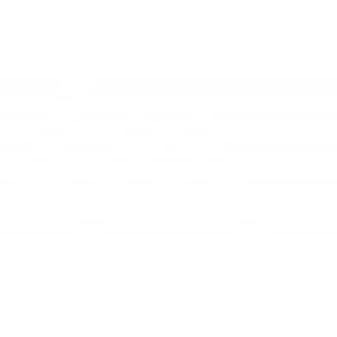 LM 02