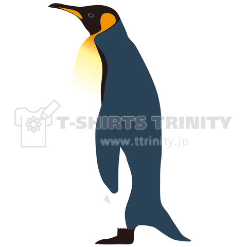 キングペンギンA
