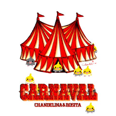 CARNAVAL オカメインコとサーカステント