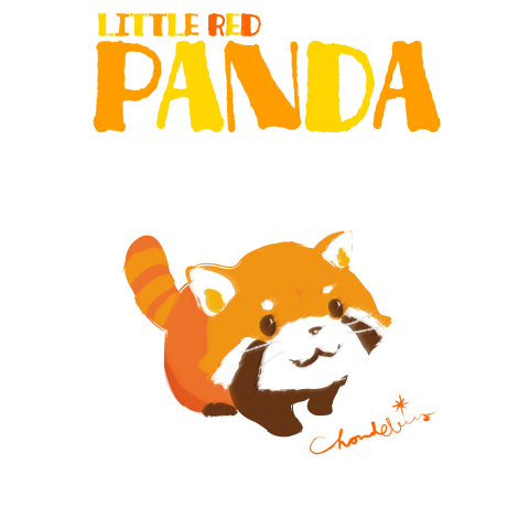 RED PANDA レッサーパンダ まろ眉