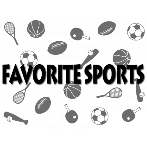 FAVORITE SPORTS2