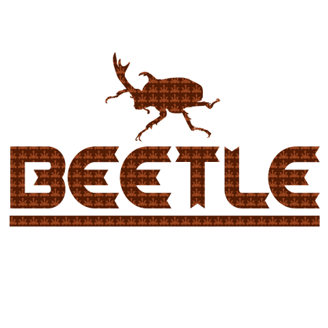 BEETLE2