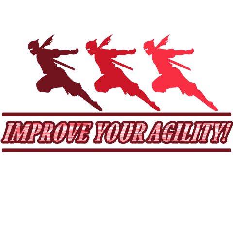 AGILITY3