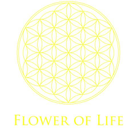 フラワーオブライフ Flower Of Life 黄 デザインtシャツ通販 Tシャツトリニティ