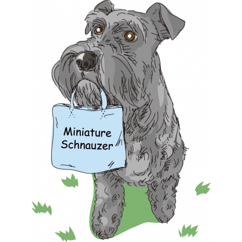 Miniature Schnauzer