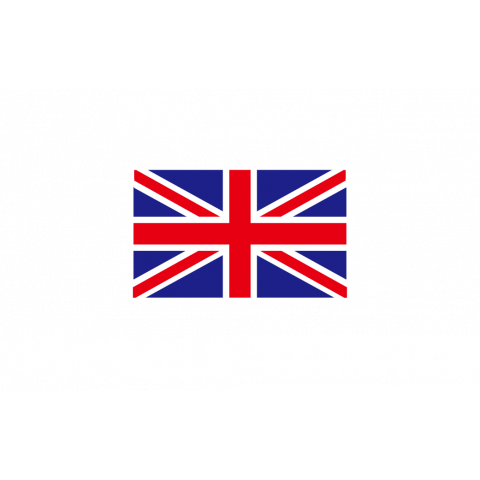 My lovely Norfolk Terrier