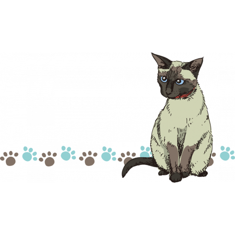 Siamese cat