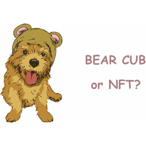 BEAR CUB or NFT