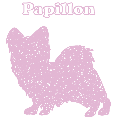 Papillon・pink