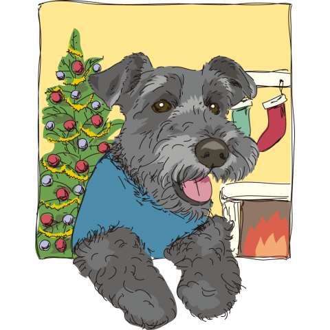 Christmas Schnauzer ☆彡