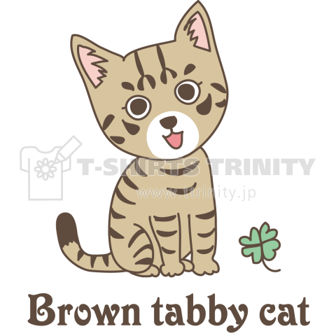 Brown tabby cat 1
