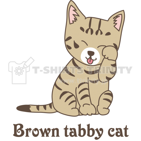 Brown tabby cat 2