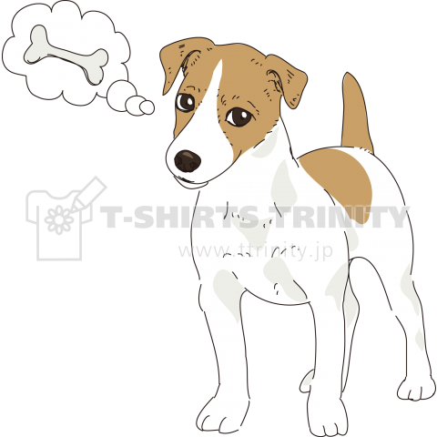 Jack Russel terrier