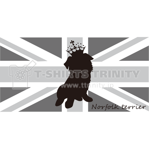 Union Jack ×Norfolk terrier