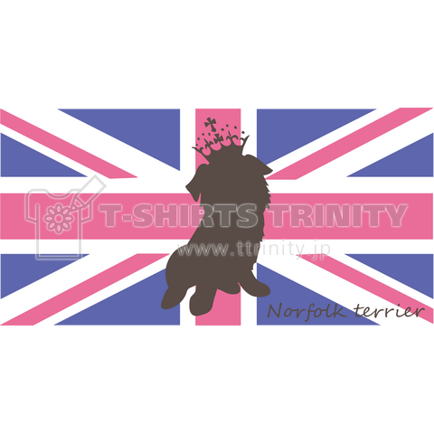 Union Jack × Norfolk terrier *Color