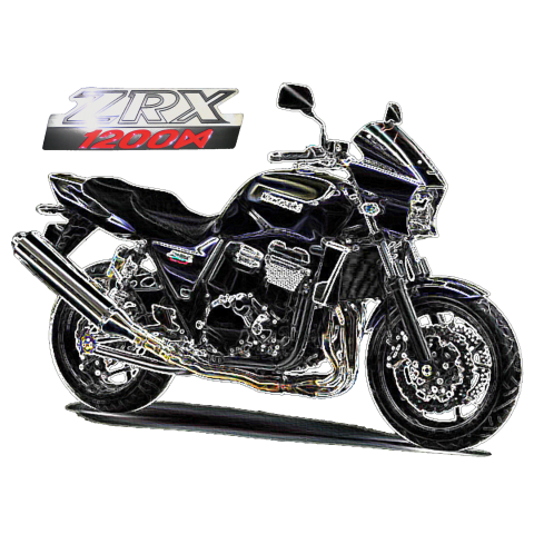 ZRX1200DAEG