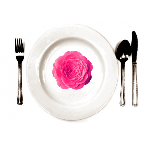 rose plate