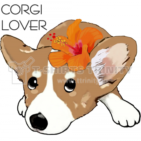 CORGI LOVER