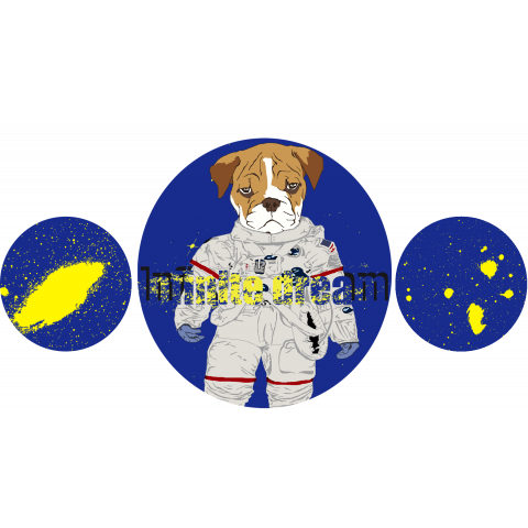 Dogs and Space